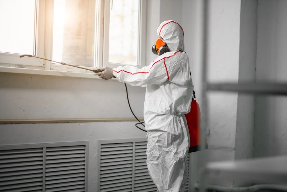 Professional mold remediation services in McDade, TX
